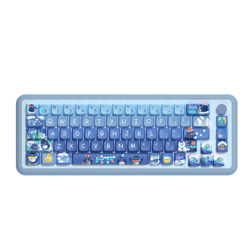 Penguins and Winter MDA Profile Dye Sub PBT Keycap Set